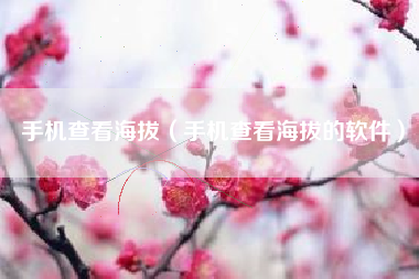 手机查看海拔(手机查看海拔的软件)