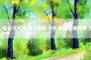 重装手机系统(重装手机系统步骤图解)