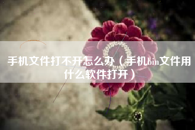 手机文件打不开怎么办(手机bin文件用什么软件打开)