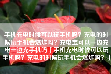 手机充电时候可以玩手机吗?充电的时候玩手机会爆炸吗?充电宝可以一边充电一边充手机吗「手机充电时候可以玩手机吗?充电的时候玩手机会爆炸吗?」